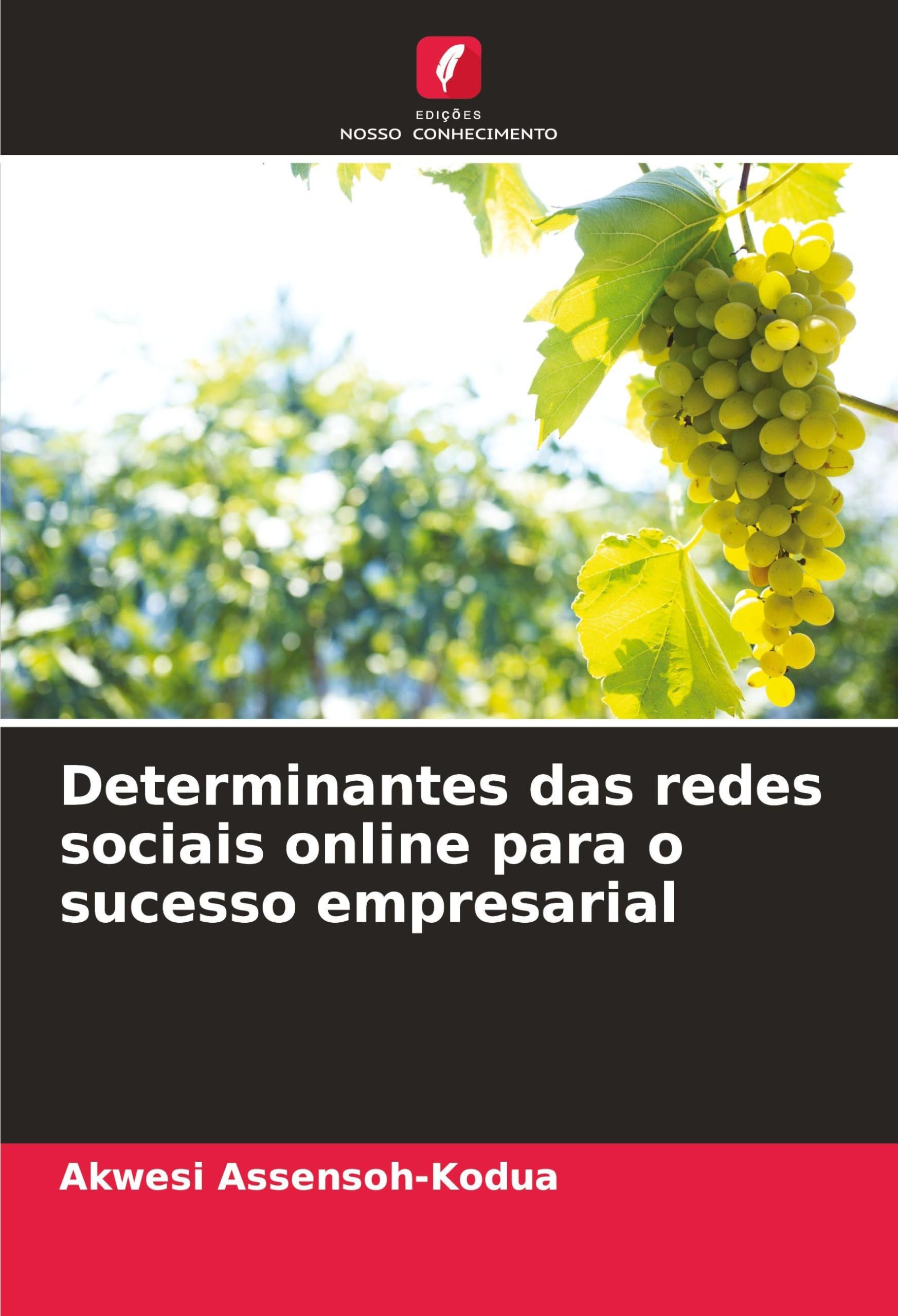Determinantes das redes sociais online para o sucesso empresarial Computer Science