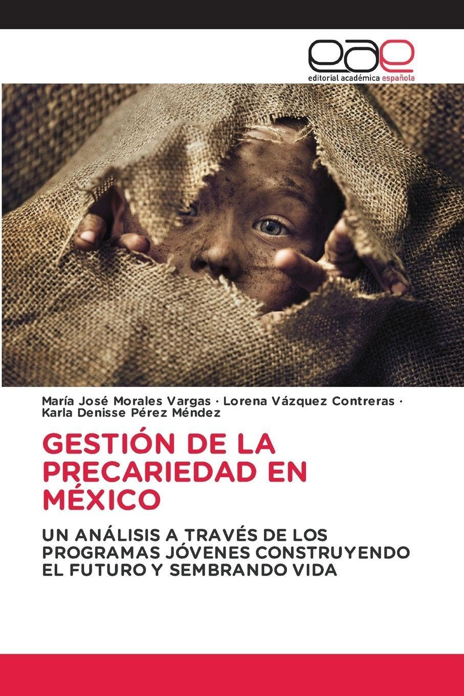 GESTIÓN DE LA PRECARIEDAD EN MÉXICO Law