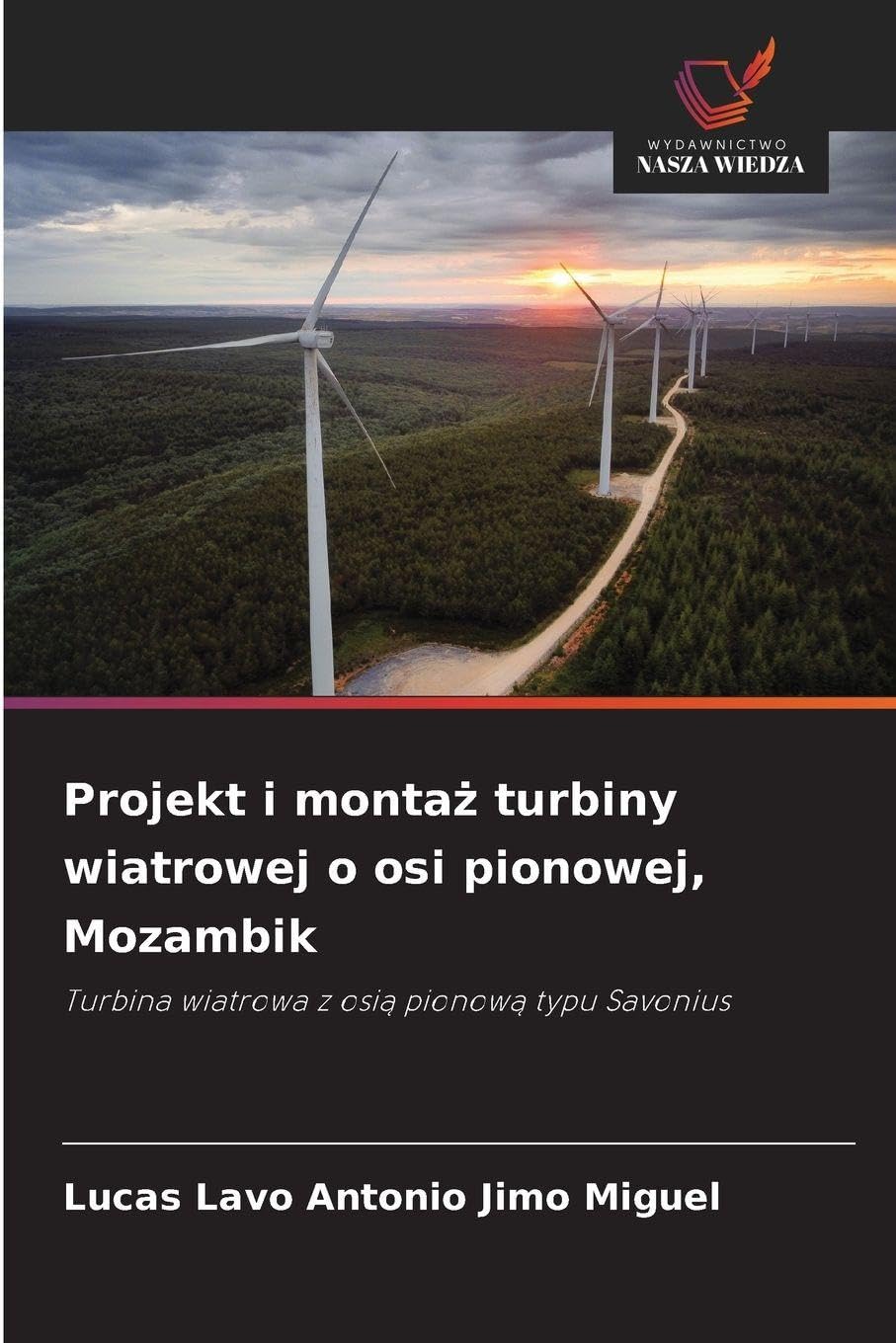 Projekt i monta¿ turbiny wiatrowej o osi pionowej, Mozambik Arts & Music