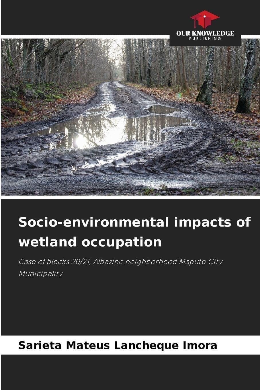Socio-environmental impacts of wetland occupation Business & Technology