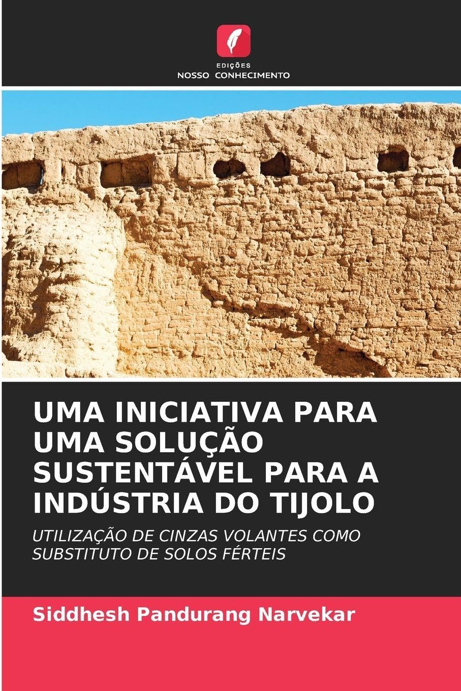 UMA INICIATIVA PARA UMA SOLUÇÃO SUSTENTÁVEL PARA A INDÚSTRIA DO TIJOLO Books