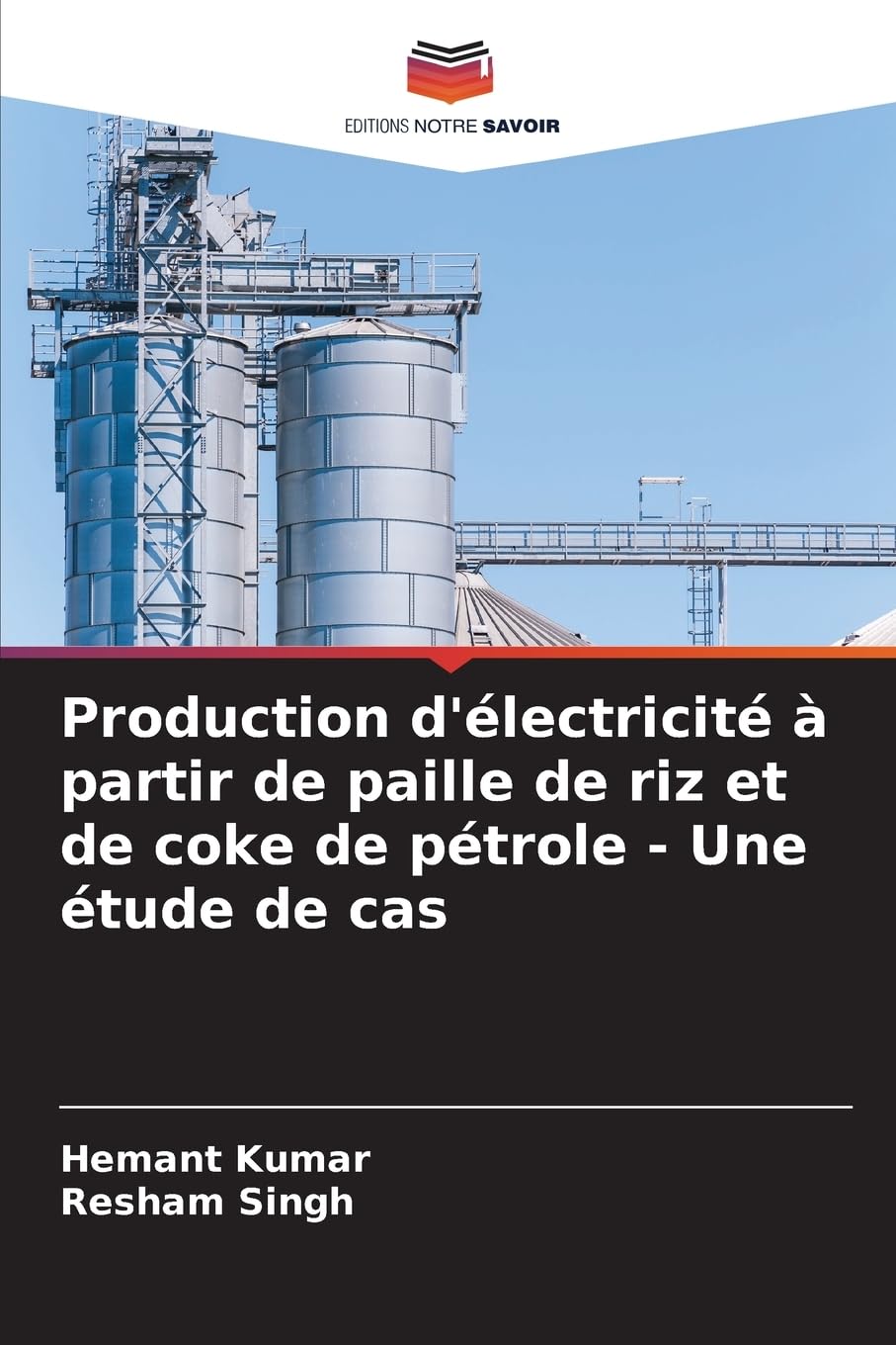 Production d'électricité à partir de paille de riz et de coke de pétrole - Une étude de cas Business & Technology