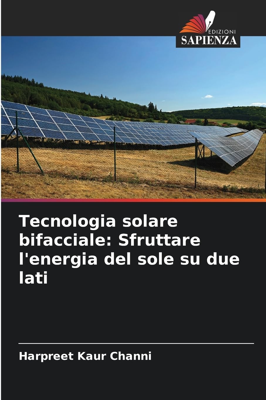Tecnologia solare bifacciale: Sfruttare l'energia del sole su due lati Business & Technology