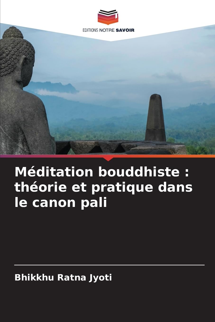 Méditation bouddhiste : théorie et pratique dans le canon pali Medicine