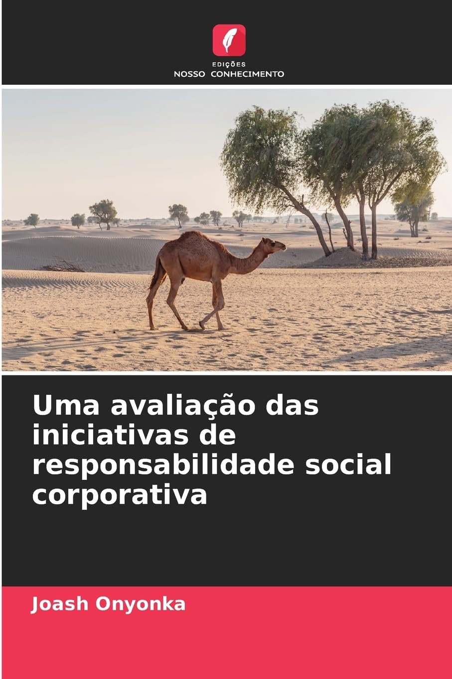 Uma avaliação das iniciativas de responsabilidade social corporativa Books