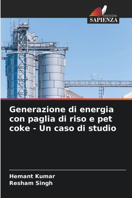 Generazione di energia con paglia di riso e pet coke - Un caso di studio Business & Technology