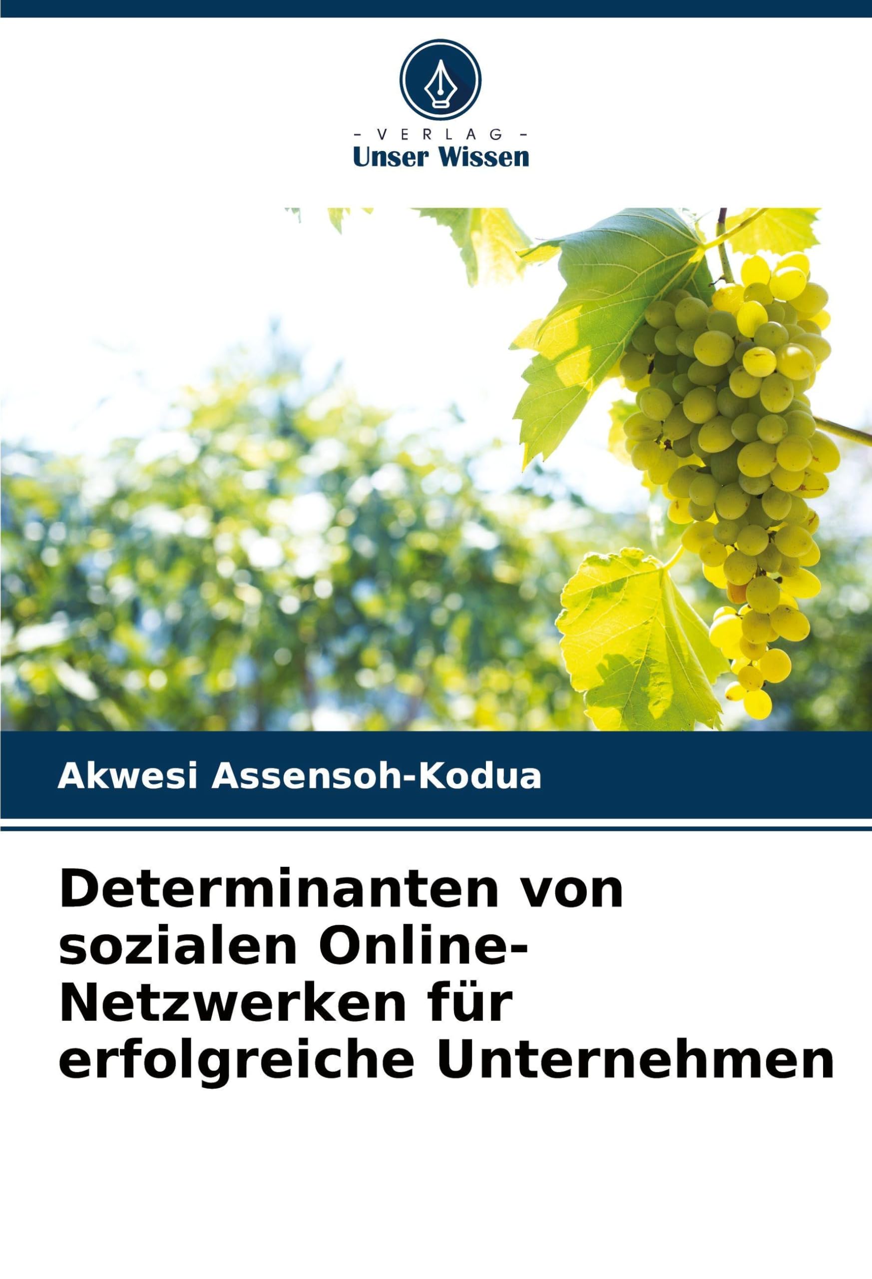 Determinanten von sozialen Online-Netzwerken für erfolgreiche Unternehmen Computer Science