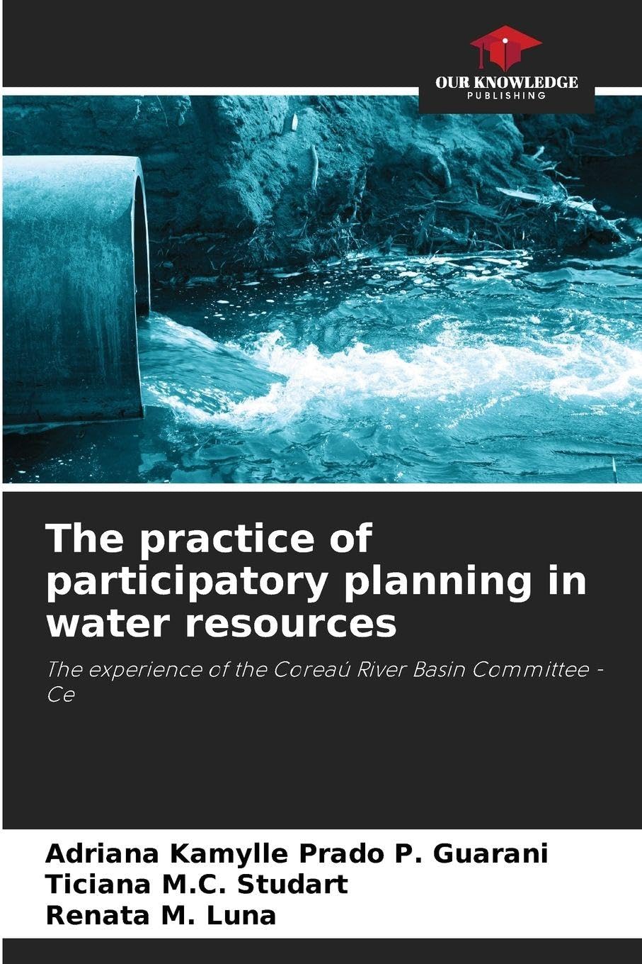 The practice of participatory planning in water resources Law