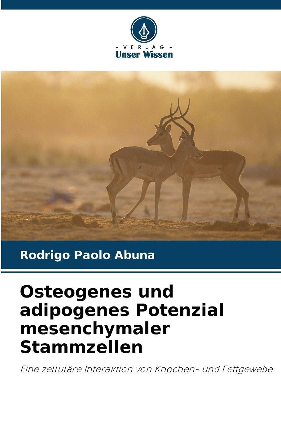 Osteogenes und adipogenes Potenzial mesenchymaler Stammzellen Natural Sciences