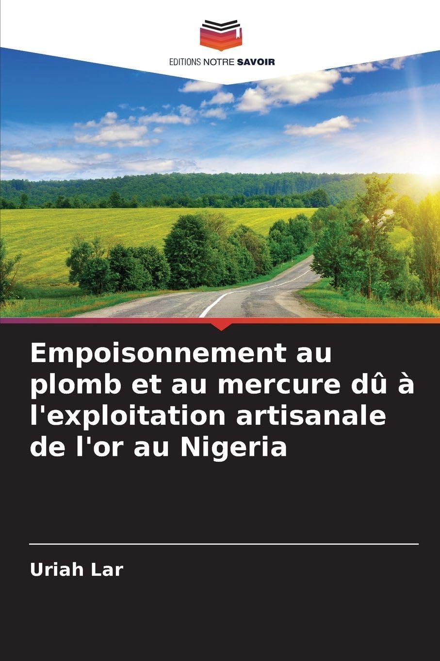 Empoisonnement au plomb et au mercure dû à l'exploitation artisanale de l'or au Nigeria Business & Technology