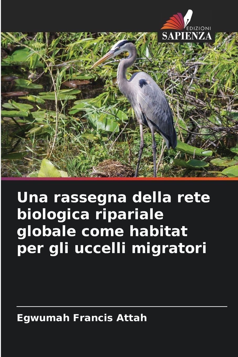 Una rassegna della rete biologica ripariale globale come habitat per gli uccelli migratori Natural Sciences