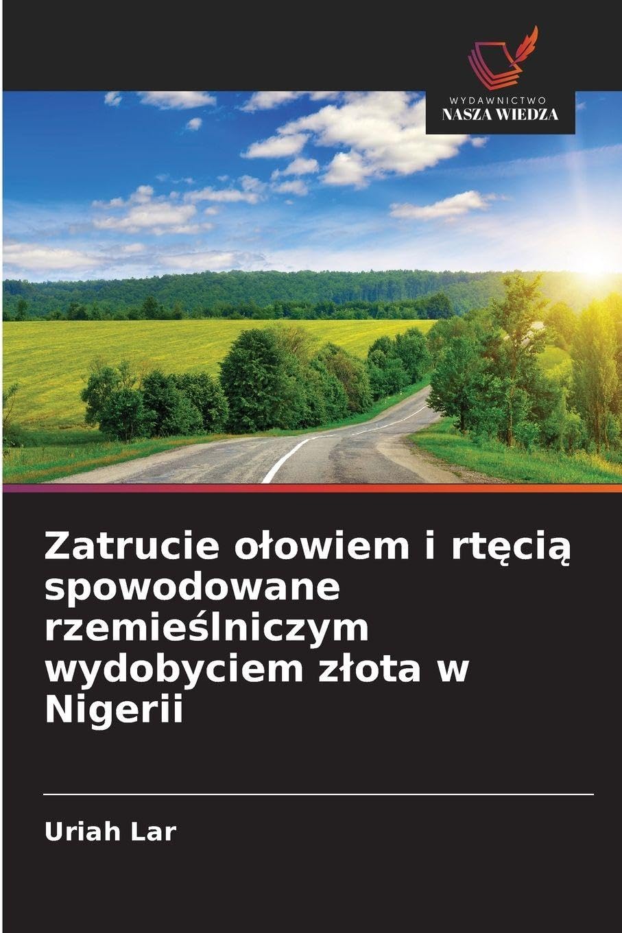 Zatrucie o¿owiem i rt¿ci¿ spowodowane rzemie¿lniczym wydobyciem z¿ota w Nigerii Business & Technology
