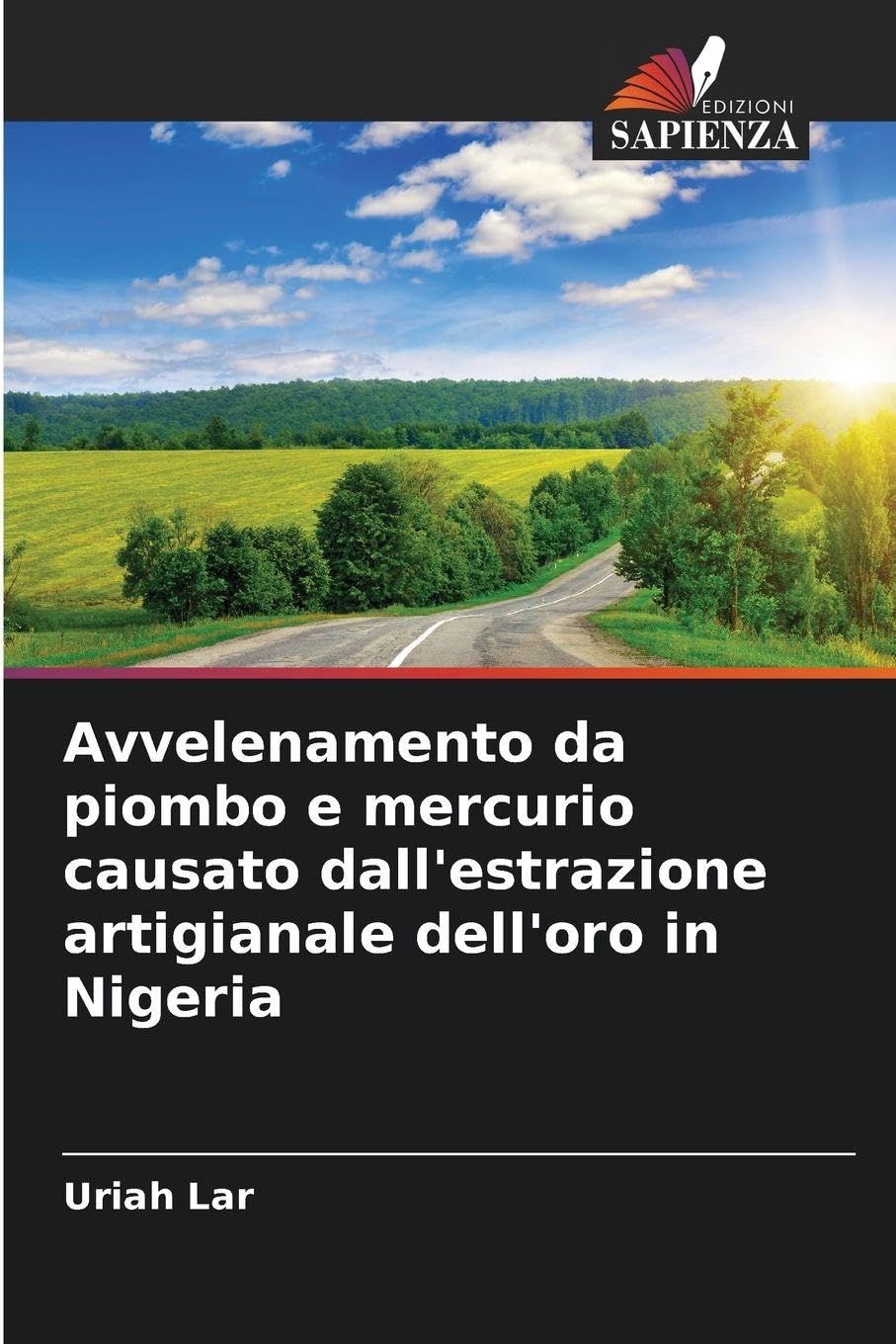 Avvelenamento da piombo e mercurio causato dall'estrazione artigianale dell'oro in Nigeria Business & Technology
