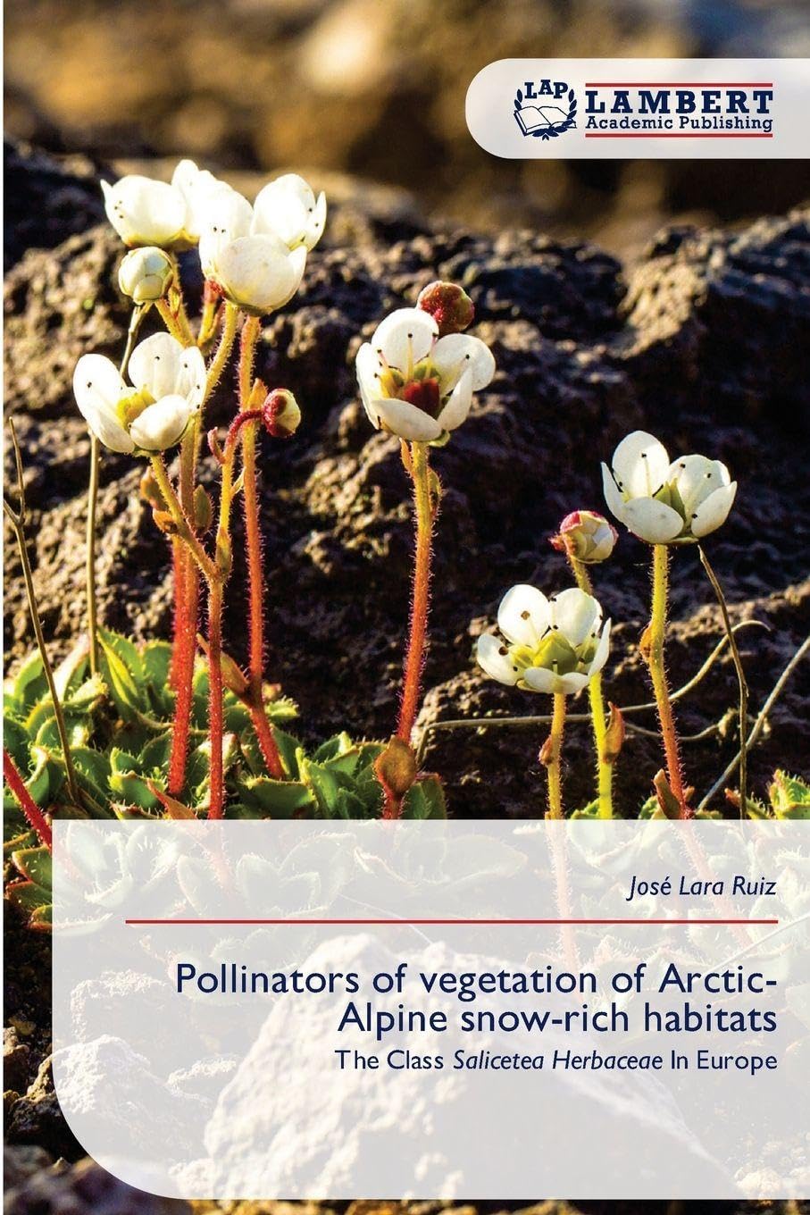 Pollinators of vegetation of Arctic-Alpine snow-rich habitats Business & Technology