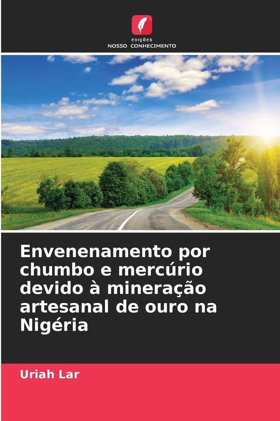 Envenenamento por chumbo e mercúrio devido à mineração artesanal de ouro na Nigéria Business & Technology