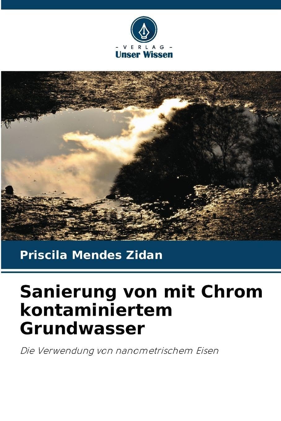 Sanierung von mit Chrom kontaminiertem Grundwasser Business & Technology