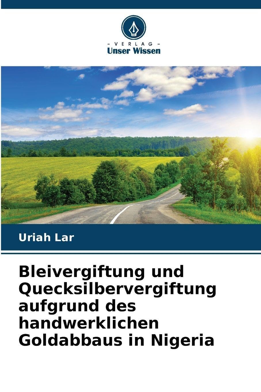Bleivergiftung und Quecksilbervergiftung aufgrund des handwerklichen Goldabbaus in Nigeria Business & Technology