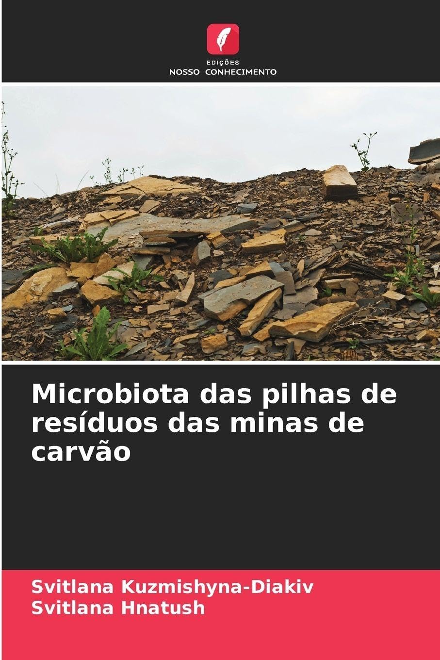 Microbiota das pilhas de resíduos das minas de carvão Natural Sciences