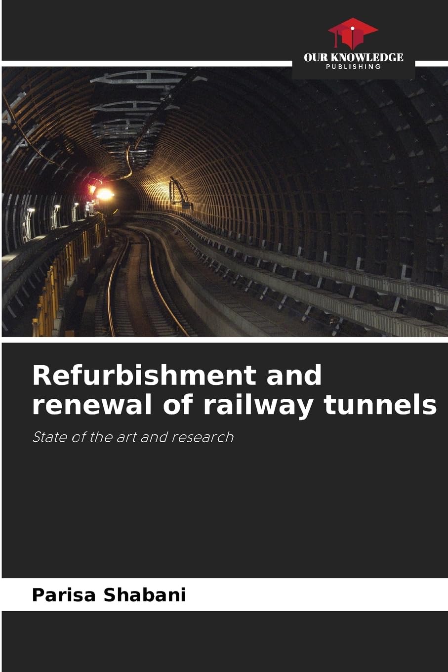 Refurbishment and renewal of railway tunnels Business & Technology