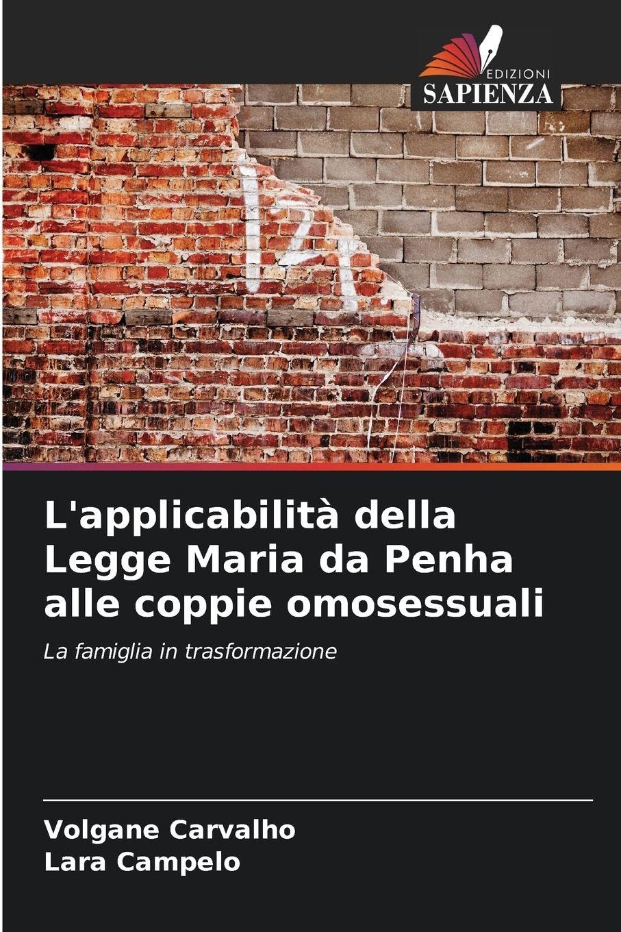 L'applicabilità della Legge Maria da Penha alle coppie omosessuali Law