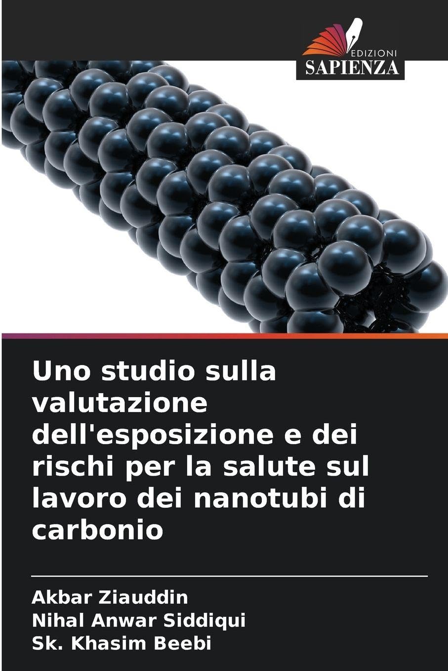 Uno studio sulla valutazione dell'esposizione e dei rischi per la salute sul lavoro dei nanotubi di carbonio Law