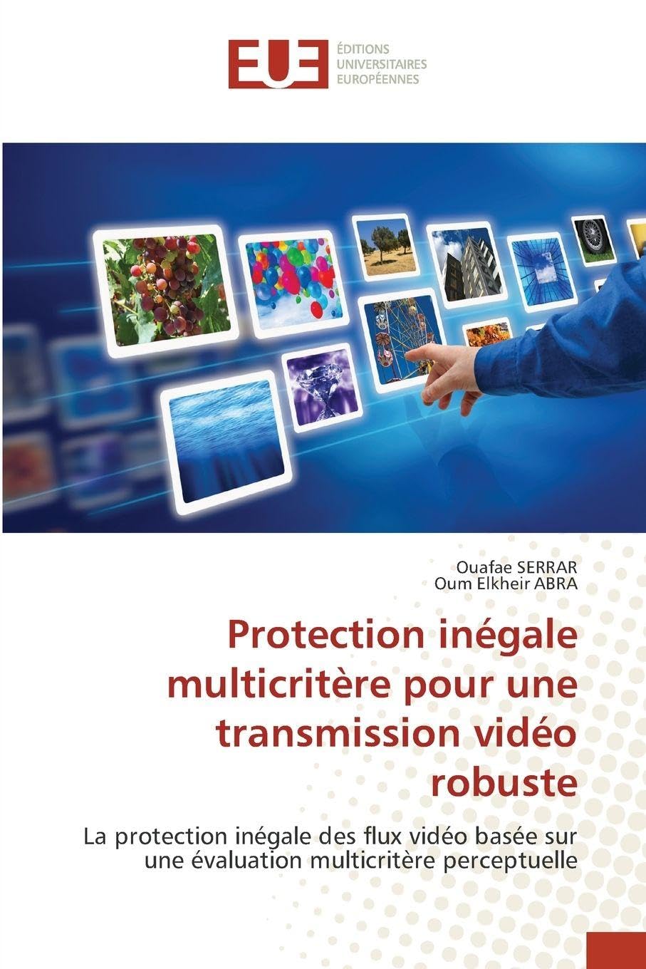 Protection inégale multicritère pour une transmission vidéo robuste Computer Science