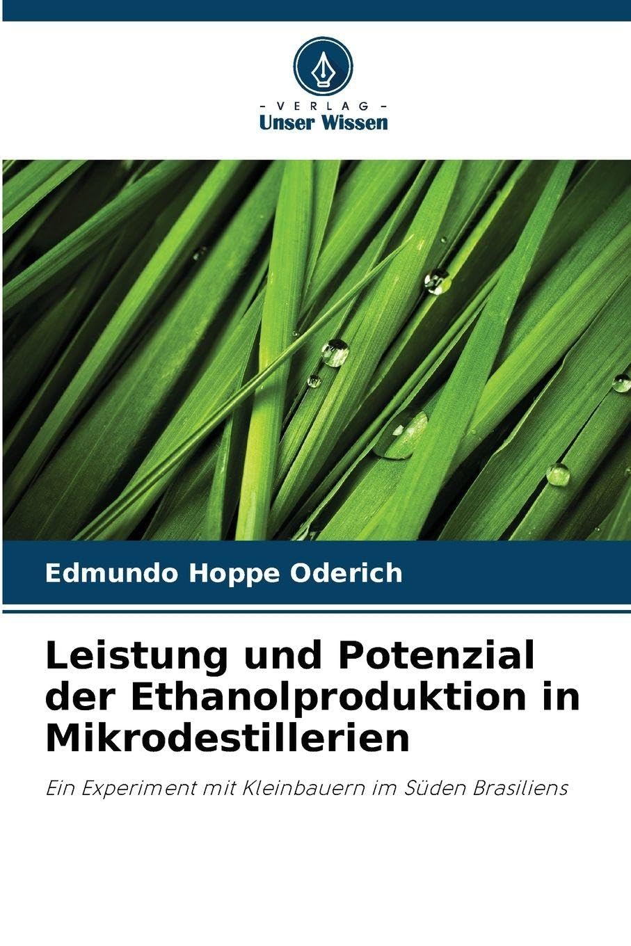 Leistung und Potenzial der Ethanolproduktion in Mikrodestillerien Natural Sciences