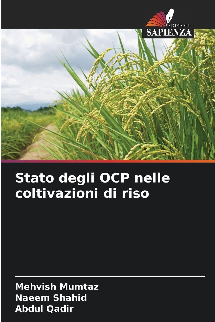 Stato degli OCP nelle coltivazioni di riso Business & Technology