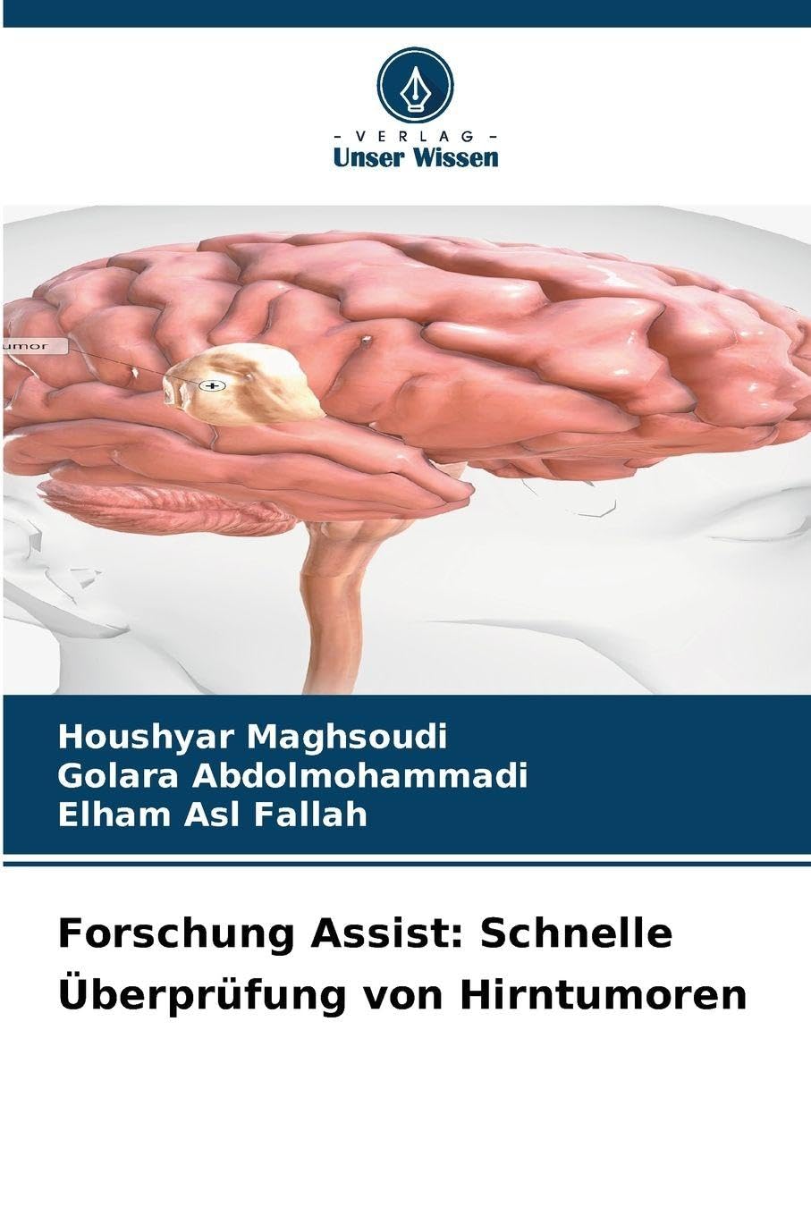 Forschung Assist: Schnelle Überprüfung von Hirntumoren Medicine