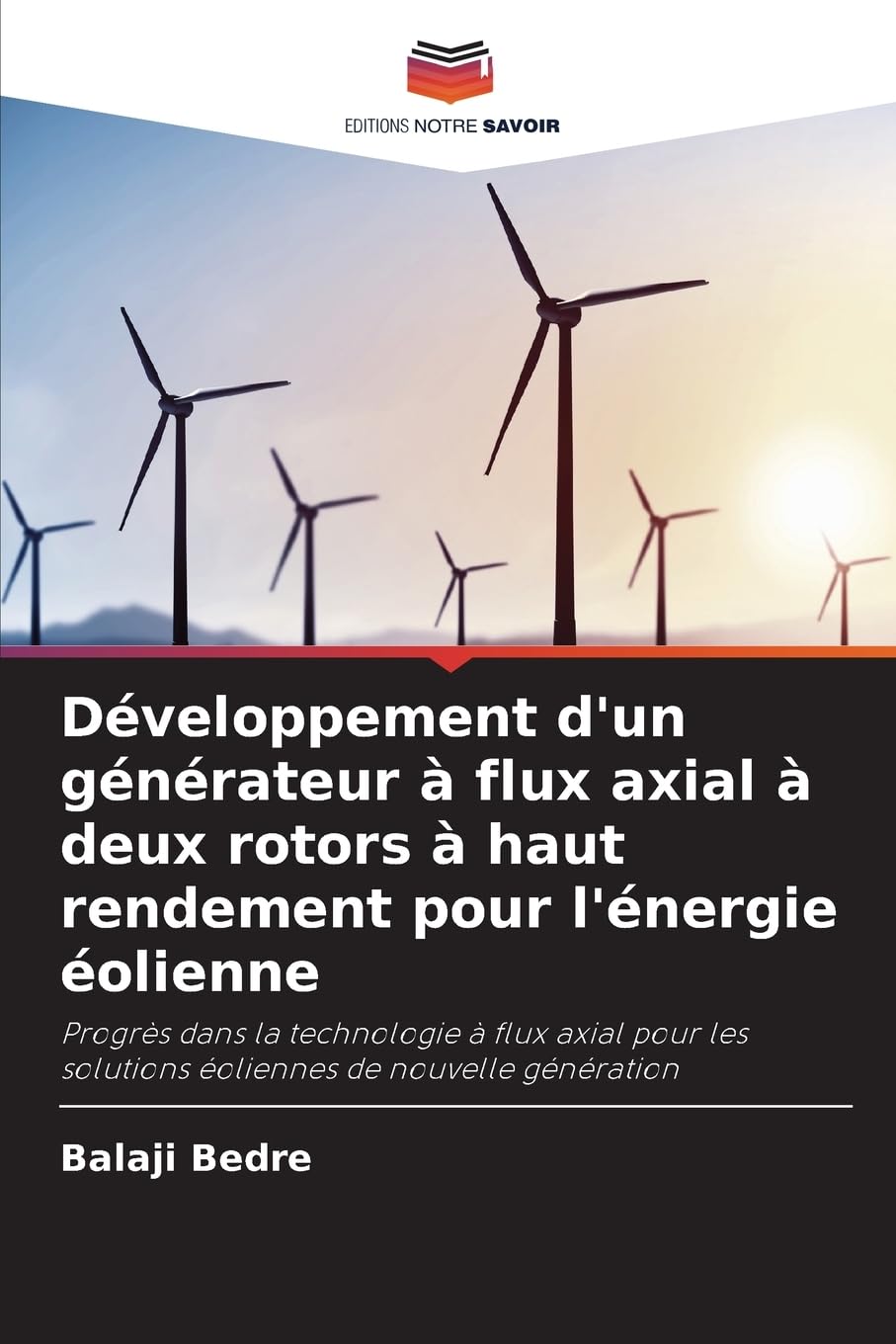 Développement d'un générateur à flux axial à deux rotors à haut rendement pour l'énergie éolienne Business & Technology