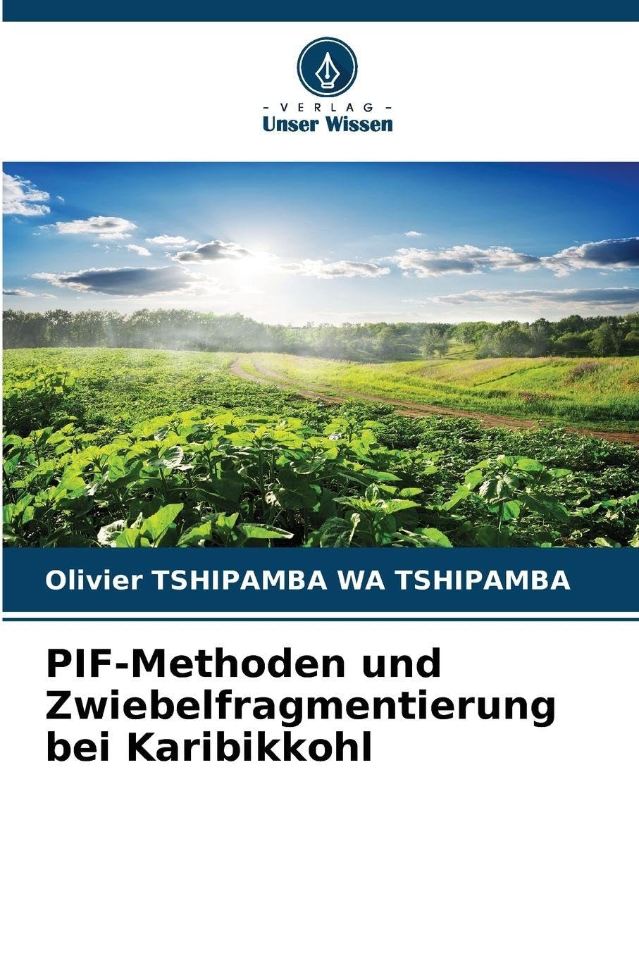 PIF-Methoden und Zwiebelfragmentierung bei Karibikkohl Business & Technology