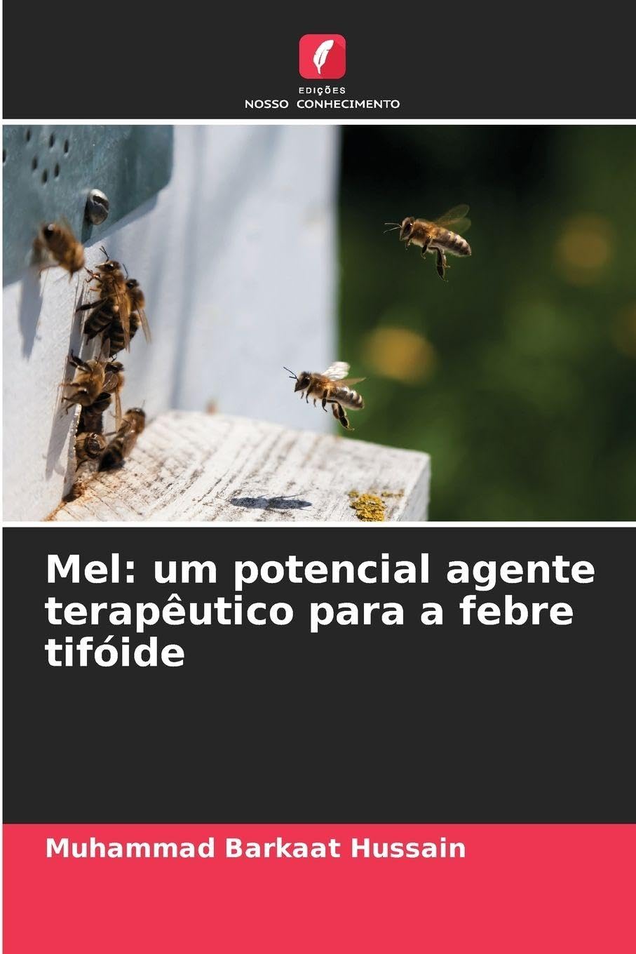 Mel: um potencial agente terapêutico para a febre tifóide Natural Sciences