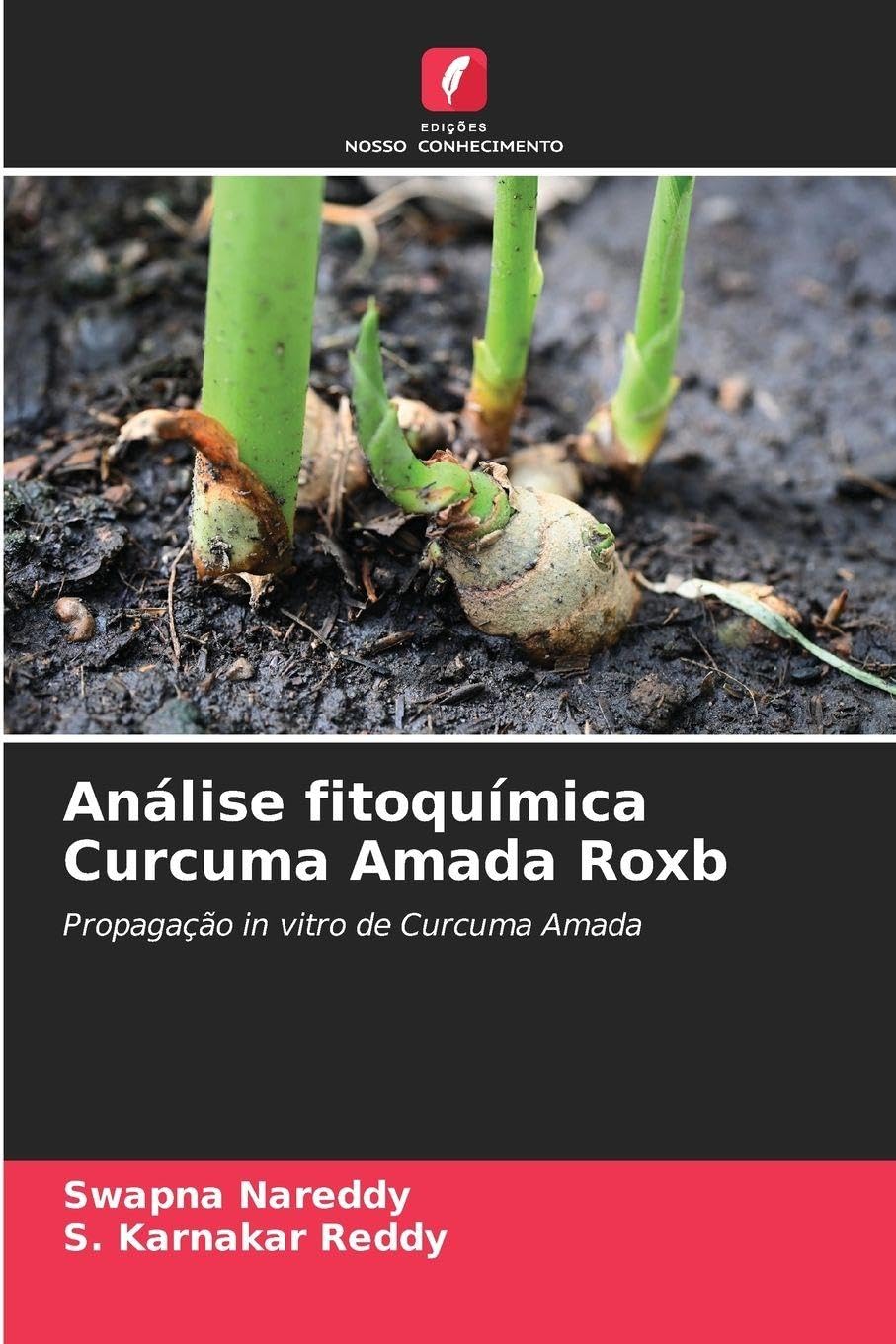 Análise fitoquímica Curcuma Amada Roxb Natural Sciences