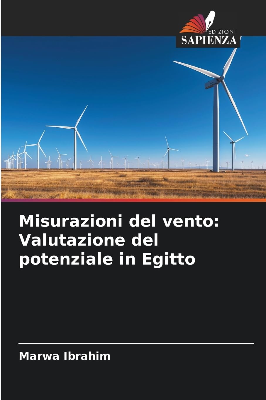 Misurazioni del vento: Valutazione del potenziale in Egitto Business & Technology