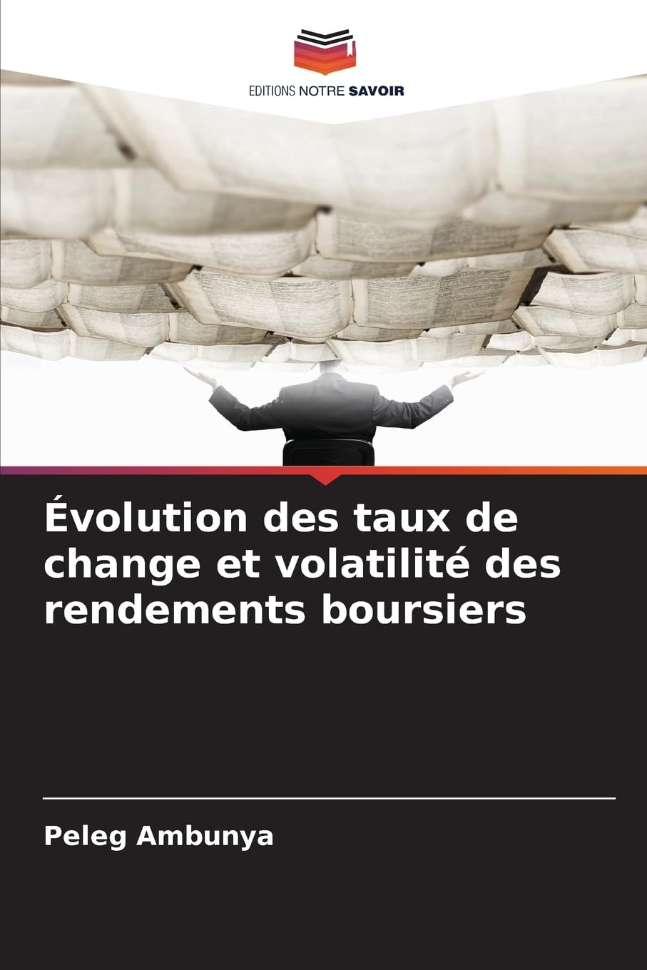 Évolution des taux de change et volatilité des rendements boursiers Law