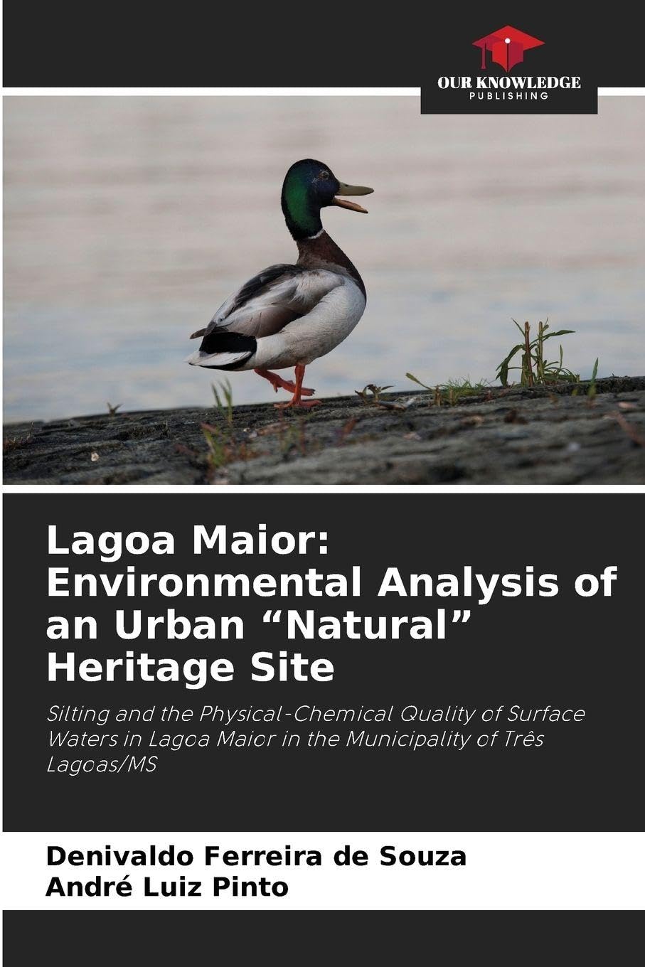 Lagoa Maior: Environmental Analysis of an Urban "Natural" Heritage Site Business & Technology