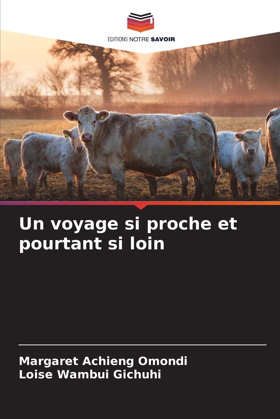 Un voyage si proche et pourtant si loin Business, Finance & Career