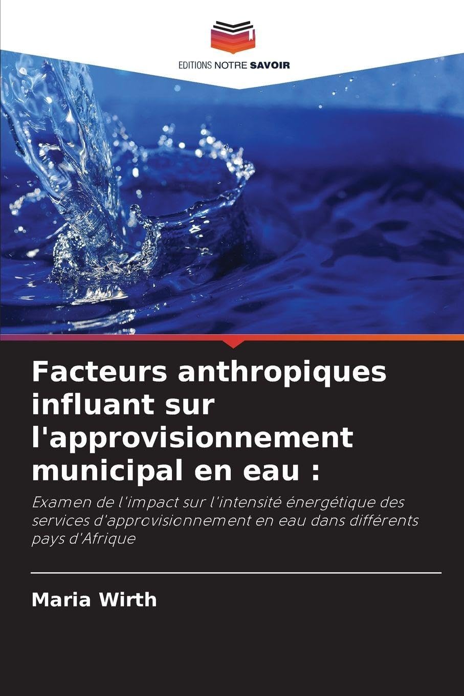 Facteurs anthropiques influant sur l'approvisionnement municipal en eau : Business & Technology