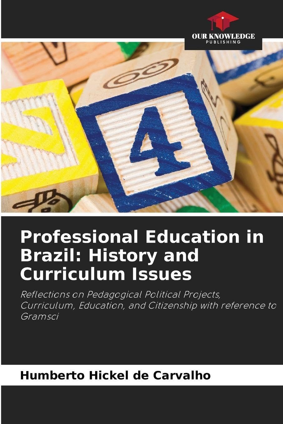 Professional Education in Brazil: History and Curriculum Issues Books