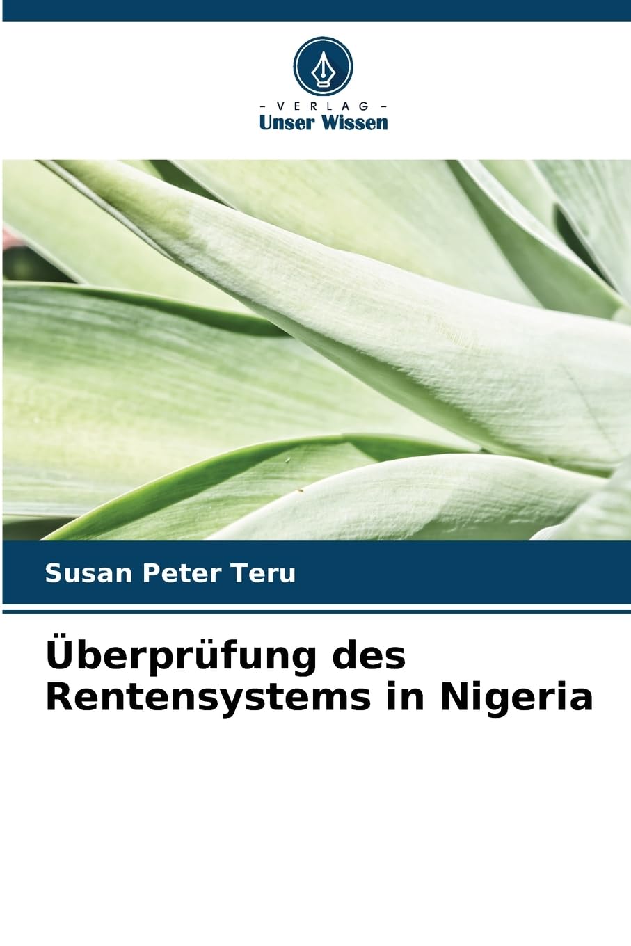 Überprüfung des Rentensystems in Nigeria Business, Finance & Career