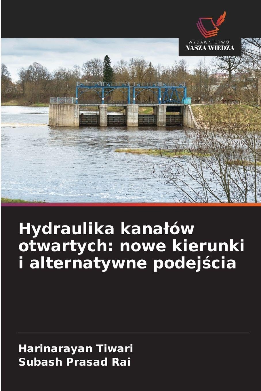 Hydraulika kana¿ów otwartych: nowe kierunki i alternatywne podej¿cia Business & Technology