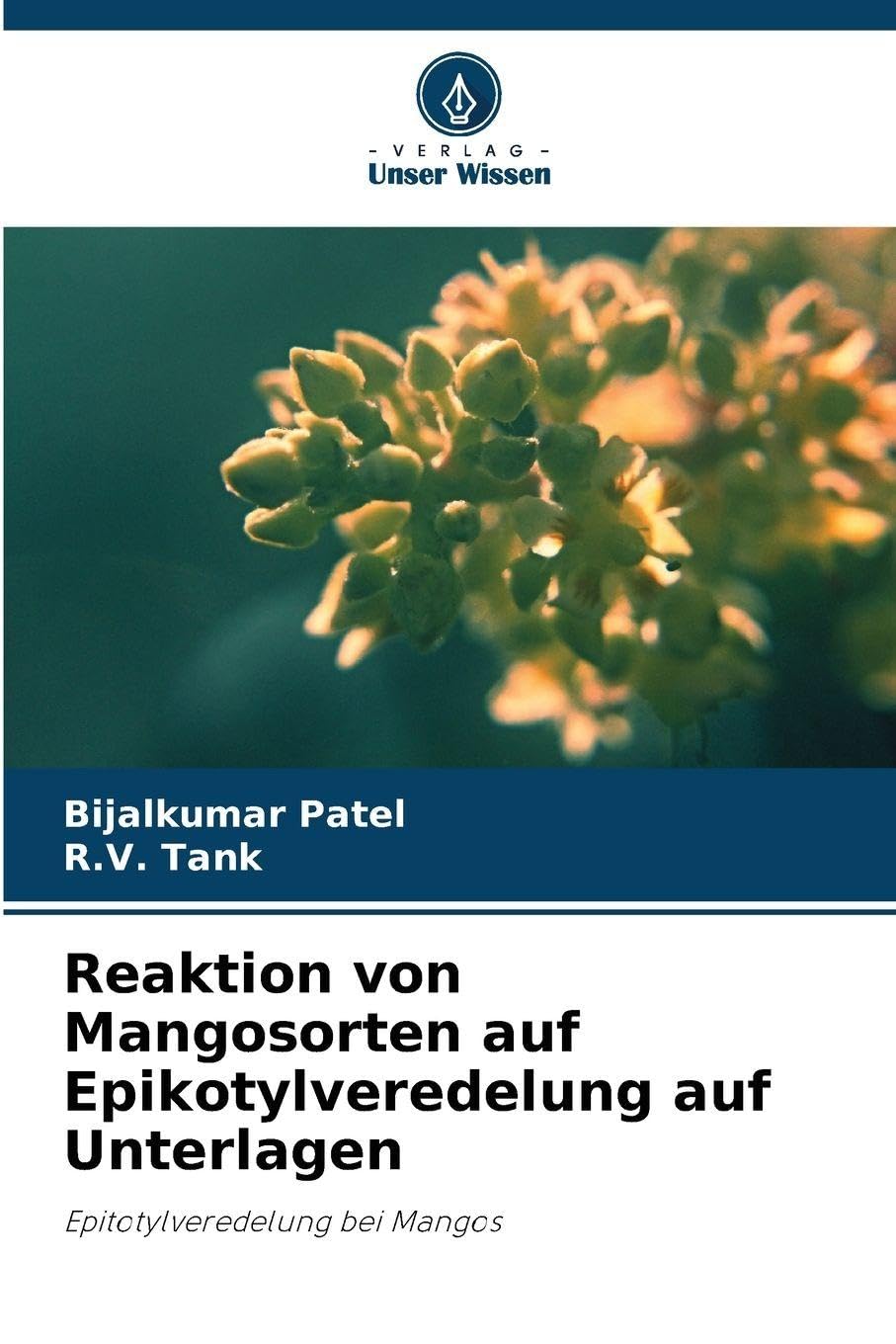 Reaktion von Mangosorten auf Epikotylveredelung auf Unterlagen Natural Sciences