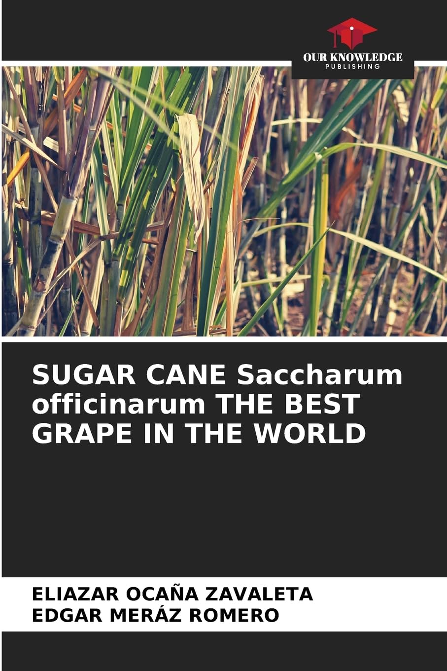 SUGAR CANE Saccharum officinarum THE BEST GRAPE IN THE WORLD Law