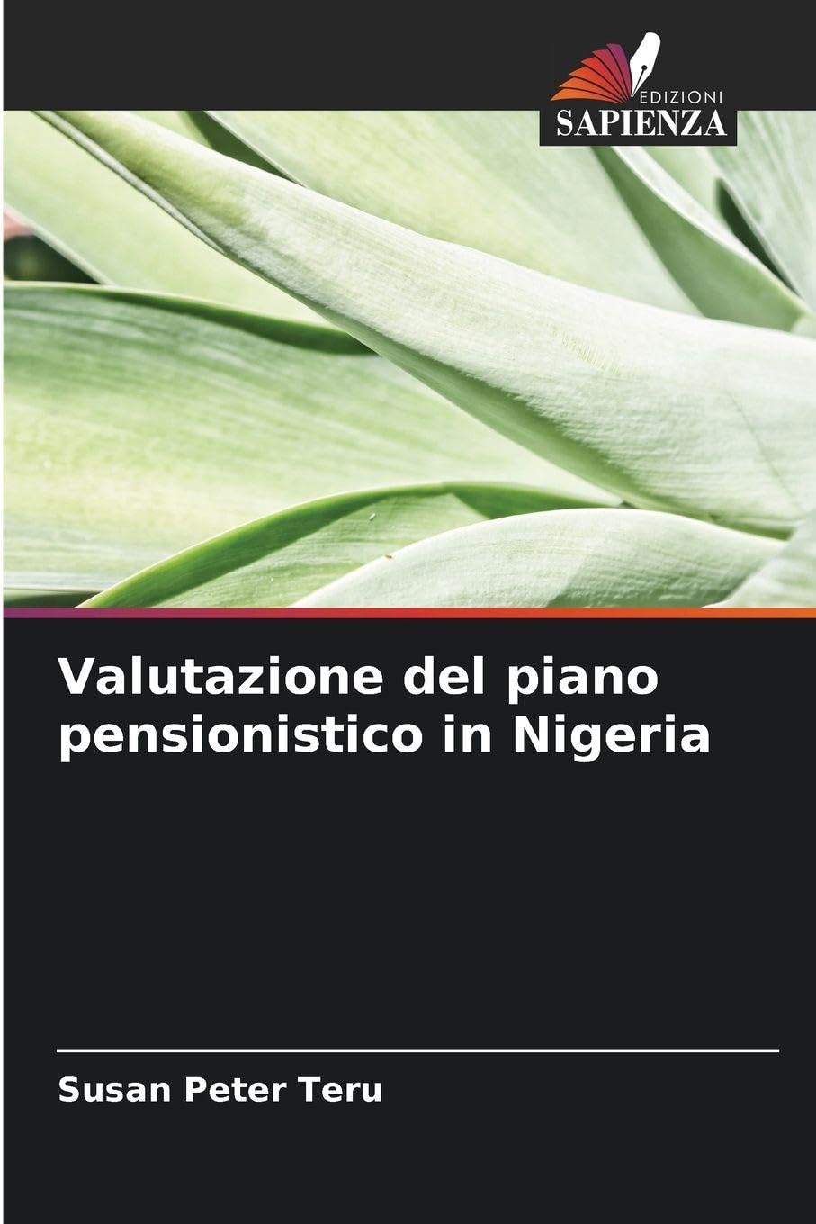 Valutazione del piano pensionistico in Nigeria Business, Finance & Career