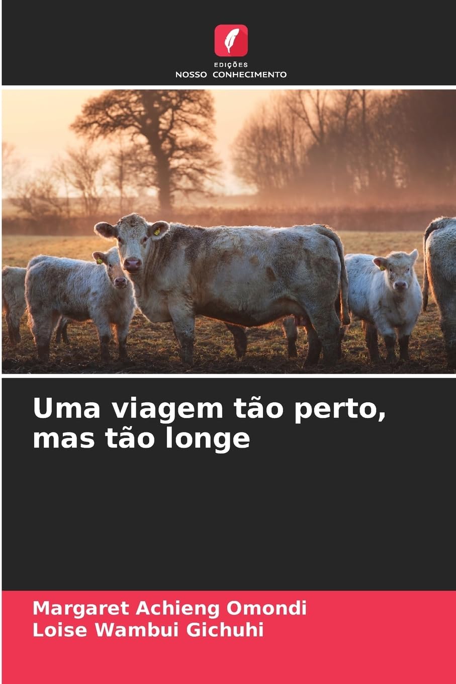 Uma viagem tão perto, mas tão longe Business, Finance & Career