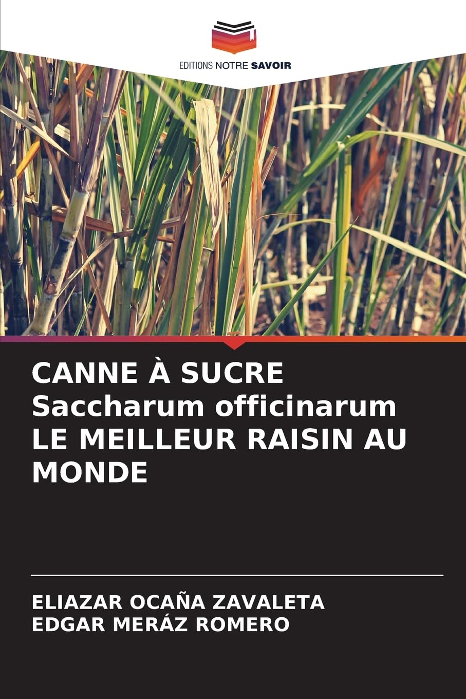 CANNE À SUCRE Saccharum officinarum LE MEILLEUR RAISIN AU MONDE Law