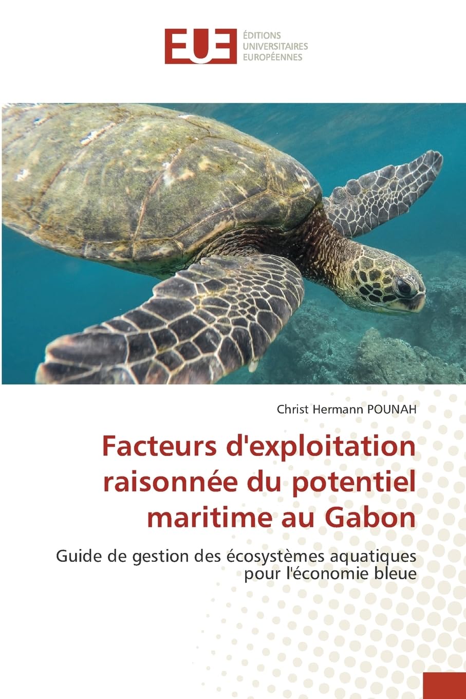 Facteurs d'exploitation raisonnée du potentiel maritime au Gabon: Guide de gestion des écosystèmes aquatiques pour l'économie bleue Law