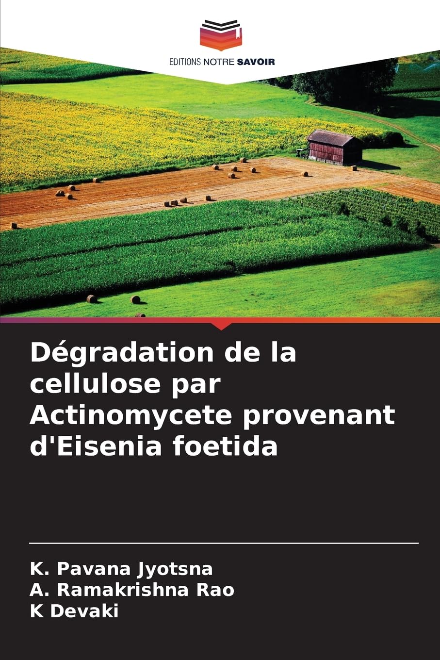 Dégradation de la cellulose par Actinomycete provenant d'Eisenia foetida Natural Sciences
