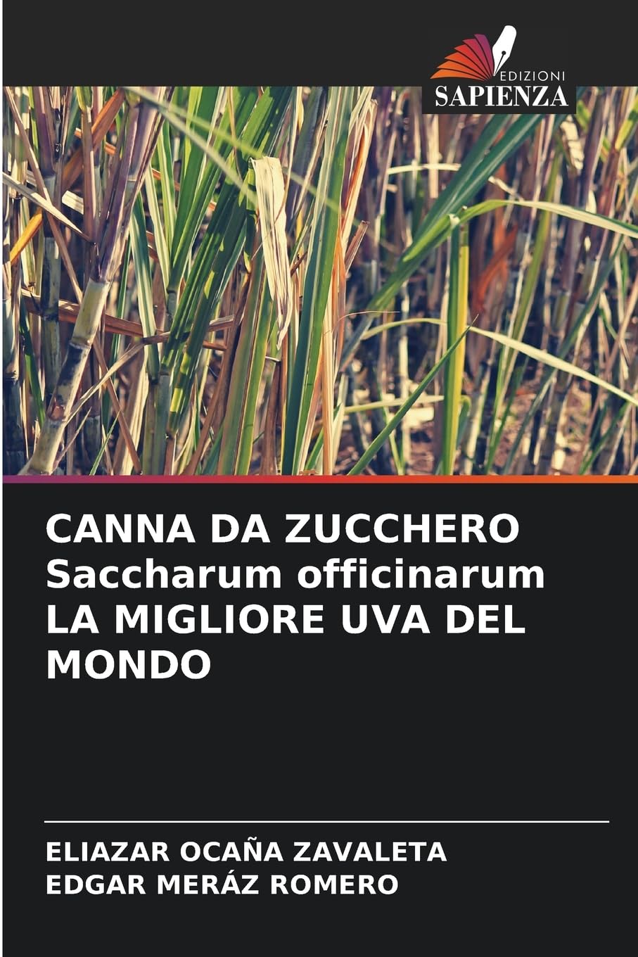 CANNA DA ZUCCHERO Saccharum officinarum LA MIGLIORE UVA DEL MONDO Law