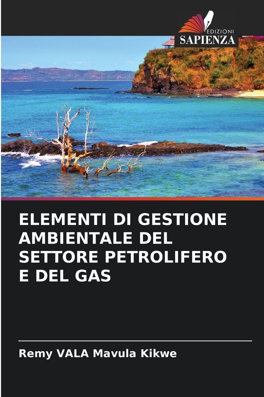 ELEMENTI DI GESTIONE AMBIENTALE DEL SETTORE PETROLIFERO E DEL GAS Natural Sciences
